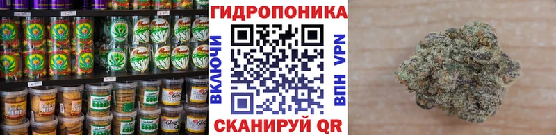 Печенье с ТГК марихуана  дарк нет какой сайт  Монино  хочу  