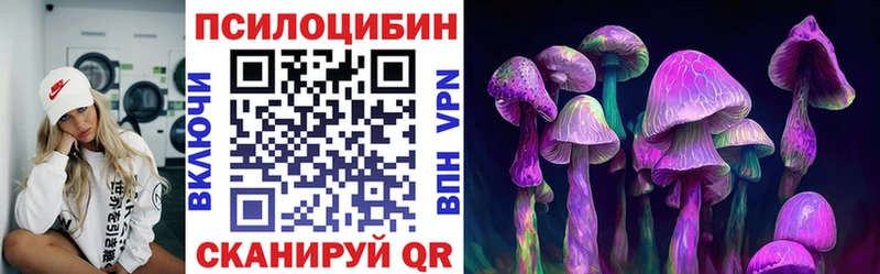 mega tor  Монино  Псилоцибиновые грибы Psilocybe 